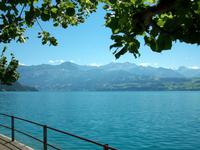 Thuner See