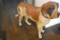 Holzschnitzerei JOBIN in Brienz