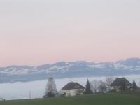 Blick Über den ZÜrichsee