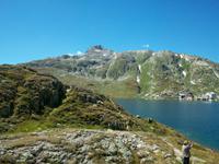 Am Grimselpass