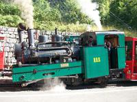 Fahrt mit der Brienz- Rothornbahn