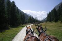 Pferdekutschfahrt ins Val Roseg