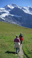 Wandern zur Wengernalp 