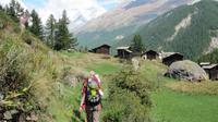 Zermatt - Wanderung von Furi nach Zermatt - Blatten