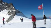 Ausflug zum Jungfraujoch - Blick vom Plateau