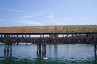 Kapellbrücke in Luzern