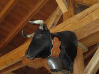 Käseraclette auf der Sunnegga