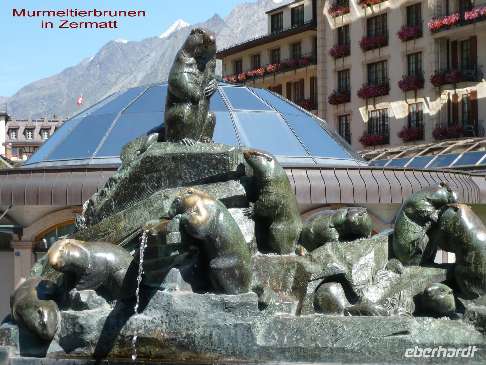 T- Murmeltier- brunnen