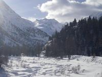 Fahrt mit dem Bernina-Express