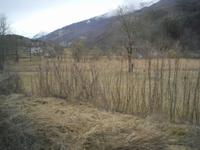 Fahrtimpressionen mit der Centovalli-Bahn