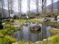 Kamelienpark in Locarno