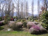 Kamelienpark in Locarno