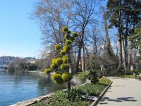 Lugano-Park der Villa Ciani