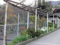 Tenero-Grotto Scalinata