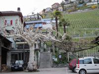 Tenero-Grotto Scalinata