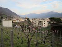 Tenero-Grotto Scalinata