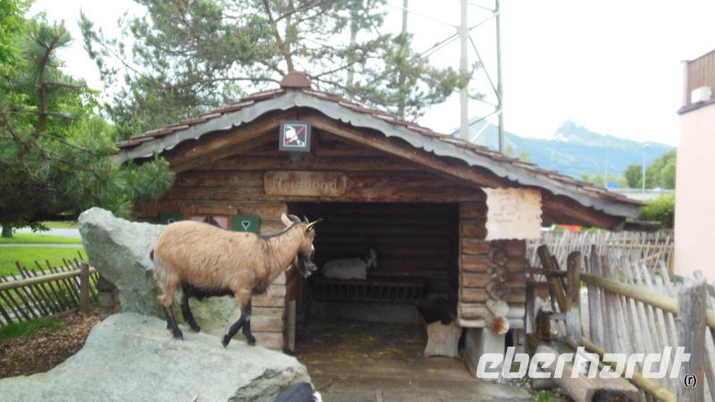 Heidiland Stop auf der Anfahrt 