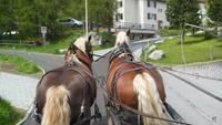 Fahrt in der Pferdekutsche ins Val Roseg --hier mit Moritz und Nellifee 