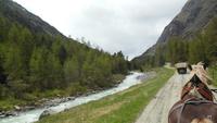 Fahrt in der Pferdekutsche ins Val Roseg 