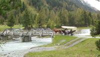 Fahrt in der Pferdekutsche ins Val Roseg 