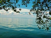 Am Bodensee