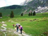 Wanderung auf der Schwägalp