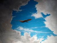 Auf dem Jungfraujoch