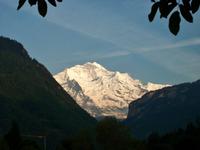 Blick zum Jungfraumassiv