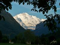 Blick zum Jungfraumassiv