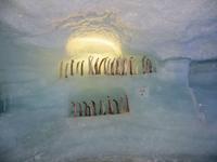 103 Ausflug auf das Mittelallin -Eispavillon