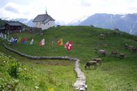 auf der Bettmeralp ...