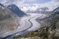Blick von Moosfluh auf den Großen Aletschgletscher