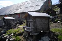 auf dem Grimselpass ... (Murmeltierpark)