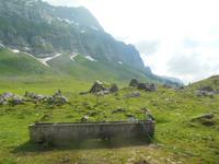 wandern auf der Schwägalp 