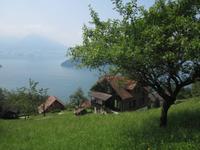 Blick auf den Vierwaldstätter See