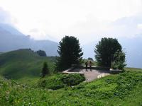 auf der Schynigen Platte im Alpengarten