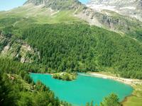 Fahrt mit dem Bernina- Express