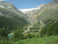 Fahrt mit dem Bernina- Express