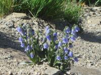 Wanderung zum Stadlersee
