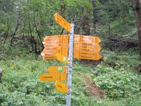 Wanderung, ein Stück auf dem Ahornweg entlang