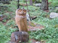 Wanderung, ein Stück auf dem Ahornweg entlang