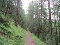 Wanderung, ein Stück auf dem Ahornweg entlang