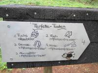 Wanderung, ein Stück auf dem Ahornweg entlang