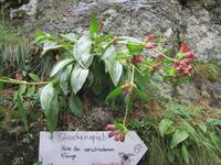 Wanderung, ein Stück auf dem Ahornweg entlang