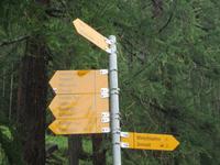 Wanderung, ein Stück auf dem Ahornweg entlang