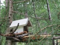 Wanderung, ein Stück auf dem Ahornweg entlang