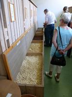 Betriebsbesichtigung Appenzeller Alpenbitter