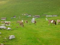 Wanderung auf der Schwägalp