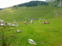 Wanderung auf der Schwägalp