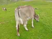 Wanderung auf der Schwägalp